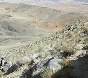 Afganistano pietuose