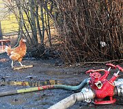 Gaisro vietoje Panevėžio rajone