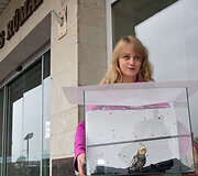 Justina Bezaraitė i&scaron;gelbėtą papūgą veža į Jaunųjų gamtininkų centrą.