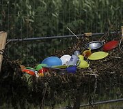 Kadras i&scaron; &bdquo;Roko naktys&ldquo;