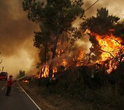 Kadras i&scaron; mi&scaron;ko gaisro