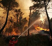 Kadras i&scaron; mi&scaron;ko gaisro