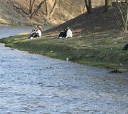 Galima prisėsti ir Vilnelės &scaron;laito