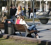 Parkas. Gera pasi&scaron;ildyti, kai &scaron;viečia saulė