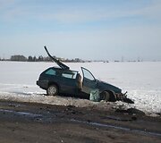 Dviejų VW kaktomu&scaron;a