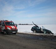 Dviejų VW kaktomu&scaron;a