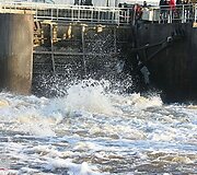 Potvynio padariniai Panevėžyje