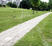 Įvykio vietoje