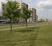 Įvykio vietoje