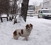 Įvykio vietoje