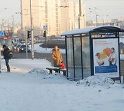Violeta Zubavičienė dirba troleibusų įmonėje.