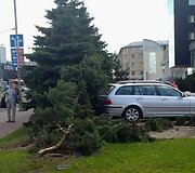 Įvykio vietoje