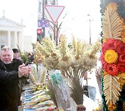 Verbų sekmadienis