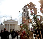 Verbų sekmadienis