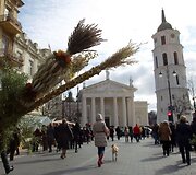 Verbų sekmadienis