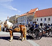 Napoleono žygio dalyvius pasitiko vilniečiai