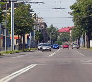 &Scaron;vitrigailos g.