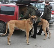 Parodos dalyviai