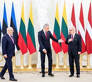 Lietuvos, Latvijos ir Estijos prezidentų susitikimas