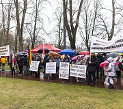 Mitingas &bdquo;Apginti tautinių mažumų mokyklas Trakų rajone&ldquo;
