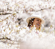 Vilniuje pražydo sakuros