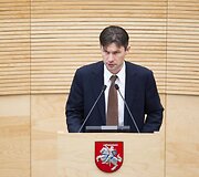 Darius Raulu&scaron;aitis