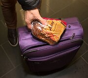 &Scaron;v. Agotos &ndash; Duonos dienos i&scaron;vakarėse duonos kepalėlis į Londoną vykstantiems keleiviams.