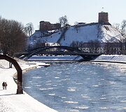 Ankstyvo pavasario ženklai Vilniuje