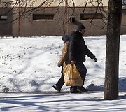 Ankstyvo pavasario ženklai Vilniuje