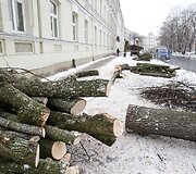 Remontuojama &Scaron;ventaragio gatvė