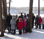 Verkių parke i&scaron;kelti inkilai