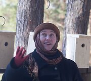 Verkių parke i&scaron;kelti inkilai