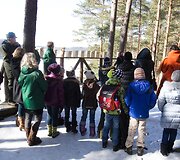Verkių parke i&scaron;kelti inkilai