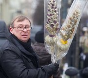 Verbų sekmadienis 