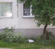 Įvykio vietoje