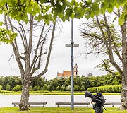 Luki&scaron;kių aik&scaron;tėje nudžiūvusios liepos