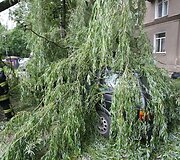 Įvykio vietoje