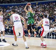 Rokas Jokubaitis