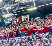 Vilniaus &bdquo;Ryto&ldquo; sirgaliai