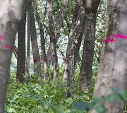 I&scaron;valyti žadama apie 7 kilometrus Vilnios pakrančių