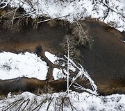 Markučių dvaro muziejus