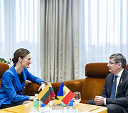 Viktorija Čmilytė-Nielsen, Igoris Grosas