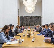 Ingridos &Scaron;imonytės ir Sakartvelo Prezidentė Salomės Zurabi&scaron;vili susitikimas