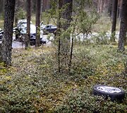 Karačiūnų gatvėje BMW atsitrenkė į medį