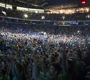 Sirgaliai stebi Europos čempionato finalą.