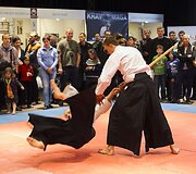 &bdquo;Vilniaus sporto mugė 2013&ldquo;