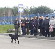 Visų &Scaron;ventųjų diena Vilniaus kapinėse.