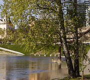 Dėl liūčių Baltarusijoje Vilniuje patvino Neris