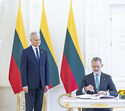Gitanas Nausėda, Pilypas VI