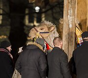 Piemenėlių mi&scaron;ios